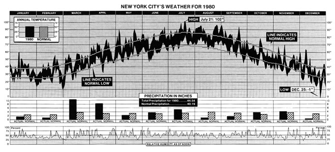 New York City's Weather for 1980